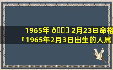 1965年 🐝 2月23曰命格「1965年2月3日出生的人属相是什么」